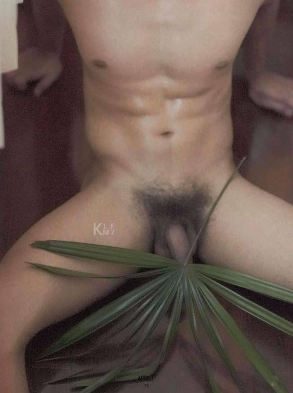 Addict--The-Premium-Issue